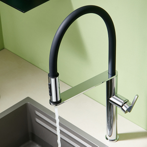 kitchen faucet with sprayer​