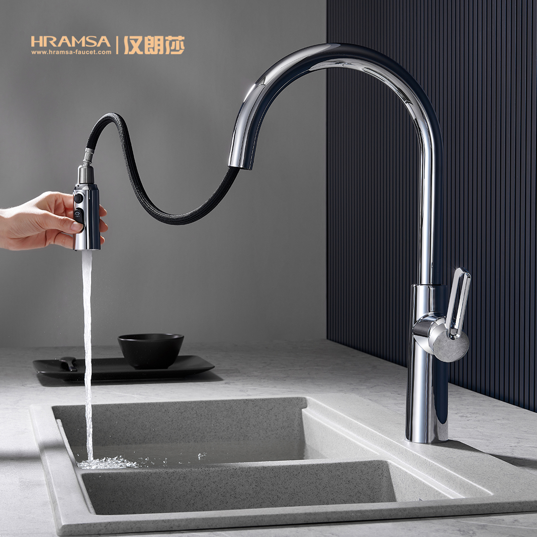 kitchen faucet with pull down sprayer