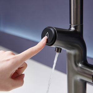 2026 Kitchen faucet - 3 in 1 WM522-BNGB