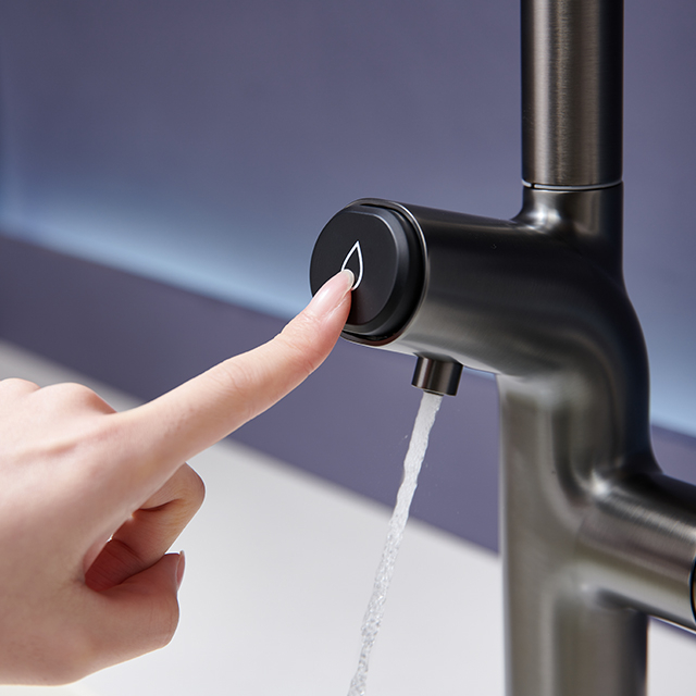 2026 Kitchen faucet - 3 in 1 WM522-BNGB