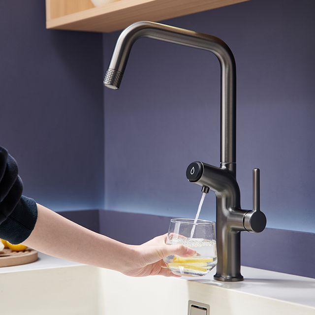 2026 Kitchen faucet - 3 in 1 WM522-BNGB